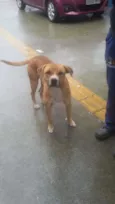 Luck
