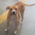Luck