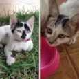Nina e Malu
