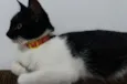 Nina