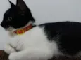 Nina