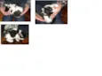 sem nome