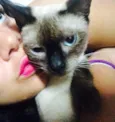 Nina, Bella 
