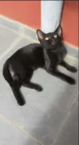 Eu chamo ela de Elza