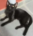 Eu chamo ela de Elza