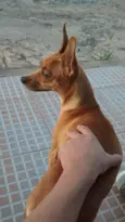 Meg