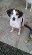 Menina