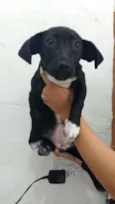 ADOTE