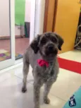 Kika