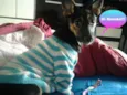 Tutti