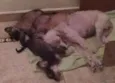 Mãe e bebes
