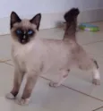 não sabemos
