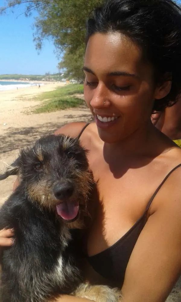 Cachorro ra a vira lata idade 1 ano nome Amarula