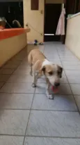 Bonitinha