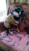 Preta