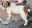 Jhony