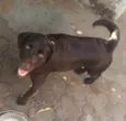 Peque