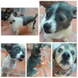 Sidy E Nico