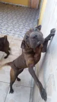 Azia e Sofia