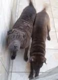 Azia e Sofia