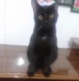 Charlie