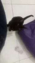 Charlie