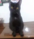 Charlie