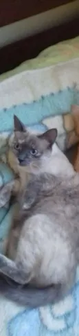 Tina