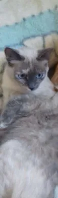 Tina