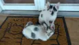 Nina e Malu