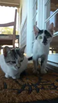 Nina e Malu