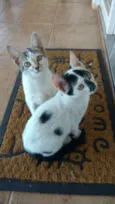Nina e Malu