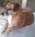 Layca 