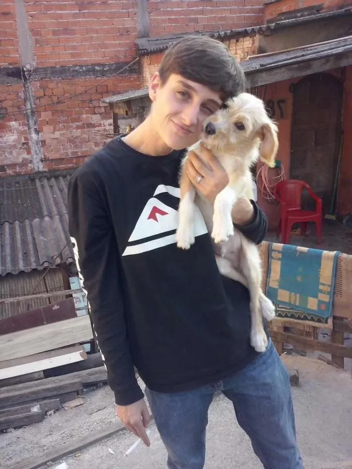 Cachorro ra a Coker idade Abaixo de 2 meses nome Petter