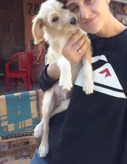 Cachorro ra a Coker idade Abaixo de 2 meses nome Petter