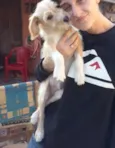 Petter