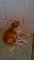 Nina