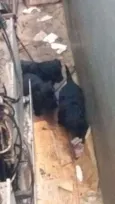Não sei