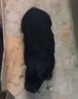 Não sei