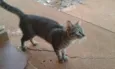 Kero