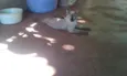 Nya