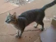 Kero