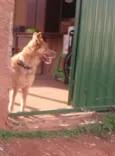 princesa