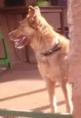 princesa
