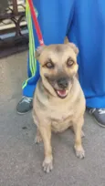 Princesa