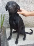 Pretinha 