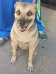 Princesa