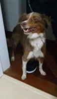 Sem Identificação