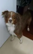 Sem Identificação