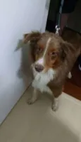 Sem Identificação